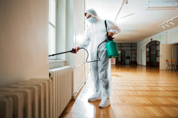 Best Real Estate Pest Inspections  in Schulenburg, TX